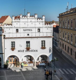 Hotel Bílý Koníček